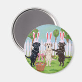 Labrador Osterbrunnes!! Magnet (Vorderseite/Rückseite)