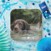 Labrador Pappteller (Party)