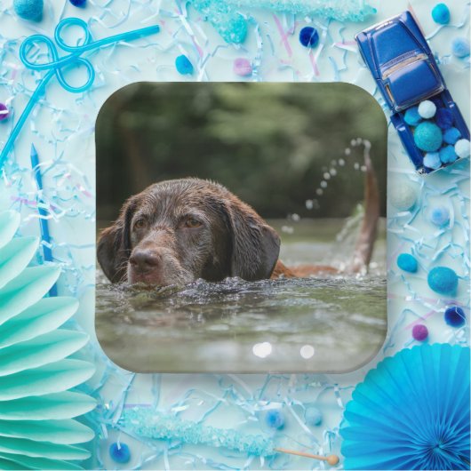 Labrador Pappteller (Party)