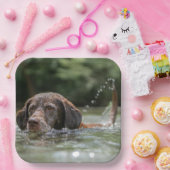 Labrador Pappteller (Party)