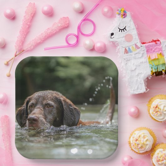 Labrador Pappteller (Party)