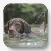 Labrador Pappteller (Vorderseite)