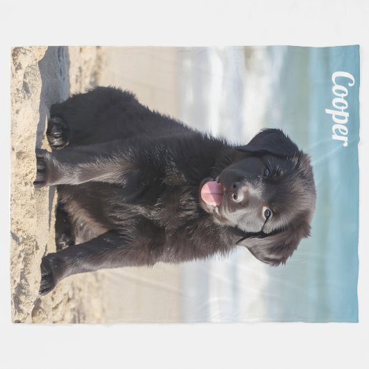 Labrador Personalisiert komprimieren Fleecedecke (Vorderseite (Horizontal))