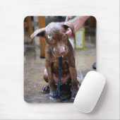 Labrador Pit Welpe Erlangen Sie ein Bad Mousepad (Mit Mouse)