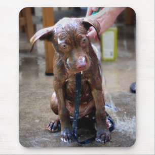Labrador Pit Welpe Erlangen Sie ein Bad Mousepad