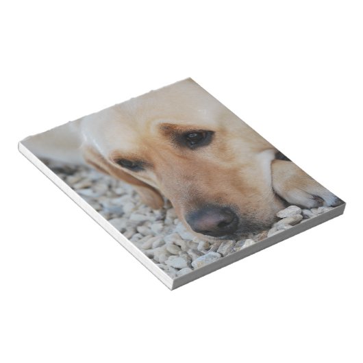 Labrador-Portrait Notizblock (angewinkelt)
