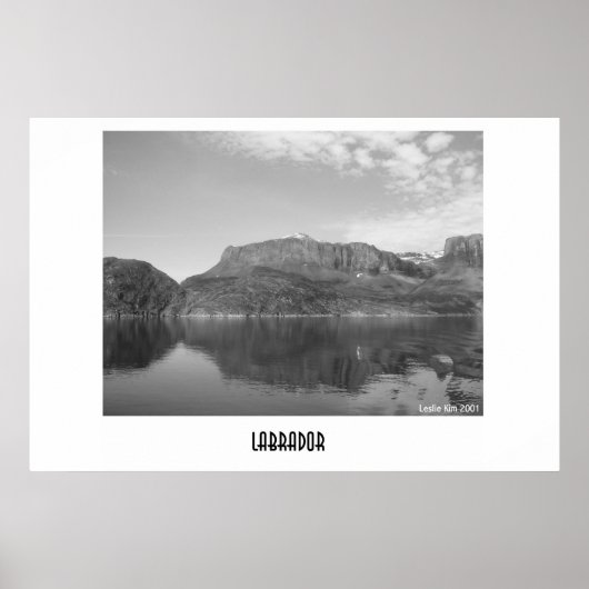 Labrador Poster (Vorne)