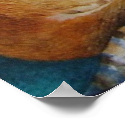 Labrador Poster (Ecke)