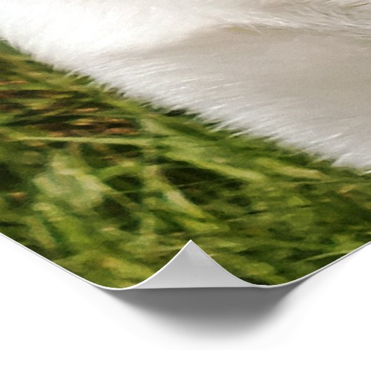 LABRADOR POSTER (Ecke)