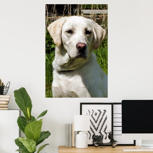 LABRADOR POSTER (Heimbüro)