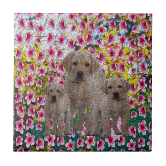 Labrador Puppies Oil Paint, Fliese (Vorderseite)