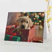 Labrador Puppy Geschenkboxen Weihnachtskarte Karte (Gelbe Blume)