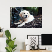 Labrador Puppy im Garten Poster (Heimbüro)