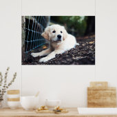 Labrador Puppy im Garten Poster (Küche)