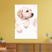 Labrador Puppy Leinwanddruck (Insitu (Wohnzimmer))
