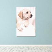 Labrador Puppy Leinwanddruck (Insitu (Holzboden))