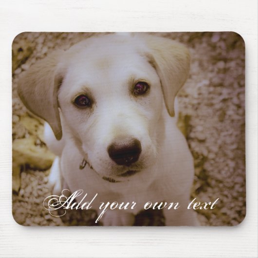Labrador Puppy Mousepad (Vorne)