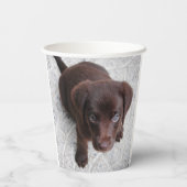 Labrador Puppy Pappbecher (Rückseite)