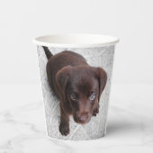 Labrador Puppy Pappbecher (Vorderseite)