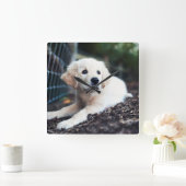 Labrador Puppy Playing In The Garden Quadratische Wanduhr (Zuhause)