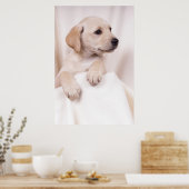 Labrador Puppy Poster (Küche)