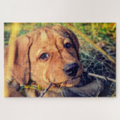 Labrador Puppy Puzzle (Horizontal)