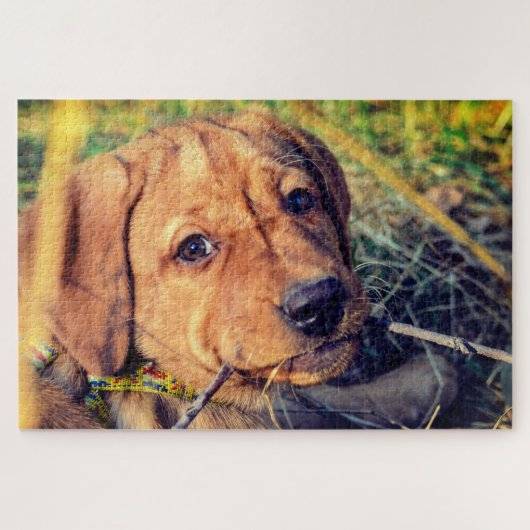 Labrador Puppy Puzzle (Horizontal)