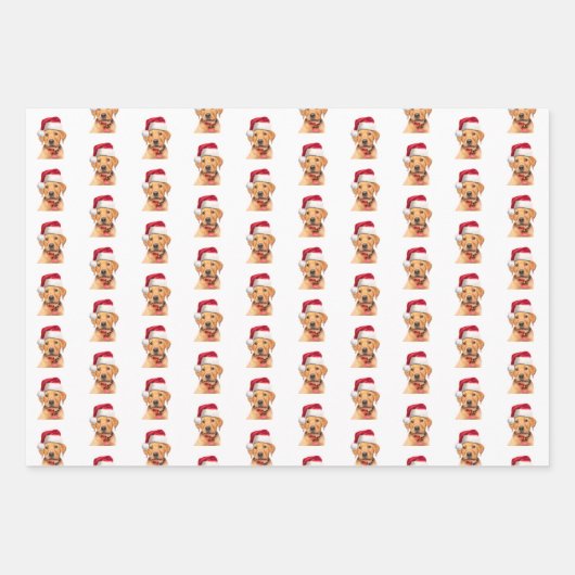 Labrador Puppy Variation Geschenkpapier Set (Vorderseite 3)