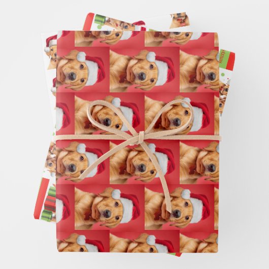 Labrador Puppy Variation Geschenkpapier Set (Beispiel)