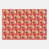 Labrador Puppy Variation Geschenkpapier Set (Vorderseite)