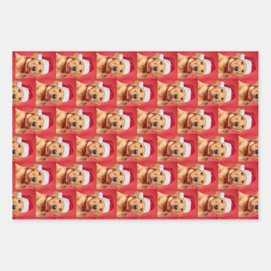 Labrador Puppy Variation Geschenkpapier Set (Vorderseite)