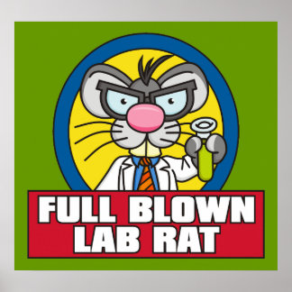Labrador Rat Poster