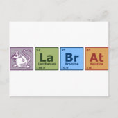 Labrador Rat Postkarte (Vorderseite)