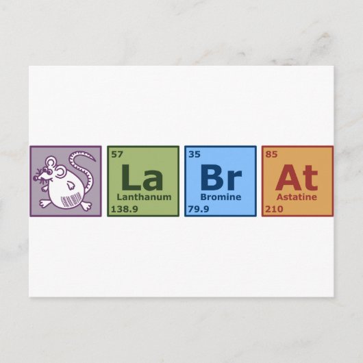 Labrador Rat Postkarte (Vorderseite)