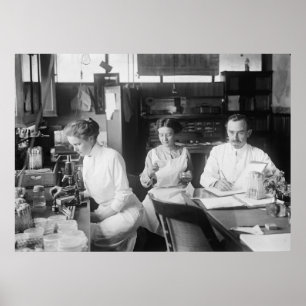 Labrador Rats, 1912 Poster