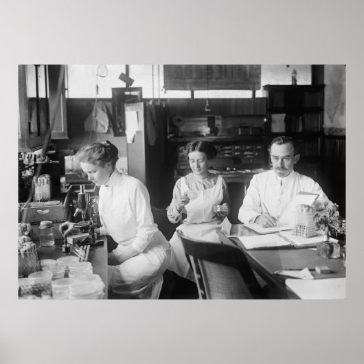 Labrador Rats, 1912 Poster (Vorne)