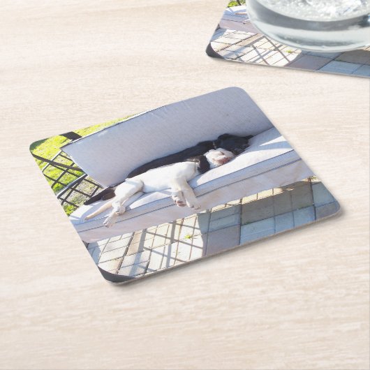 Labrador Rechteckiger Pappuntersetzer (angewinkelt)