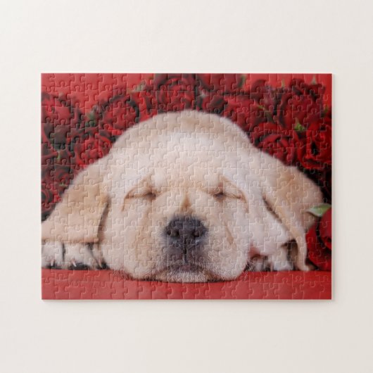 Labrador Redriever Welpe mit rote Rosen Puzzle (Horizontal)