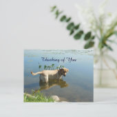 Labrador Reflection Thinking of You Postkarte (Stehend Vorderseite)