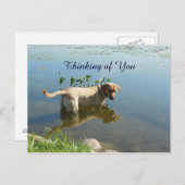 Labrador Reflection Thinking of You Postkarte (Vorne/Hinten)