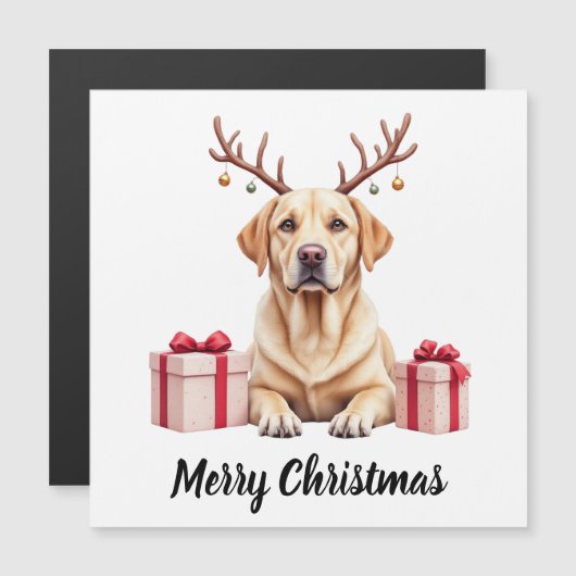 Labrador Reindeer Magnetkarte (Vorne/Hinten)