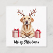 Labrador Reindeer Quadratische Visitenkarte (Vorderseite)