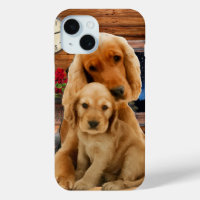 Labrador Retrieever