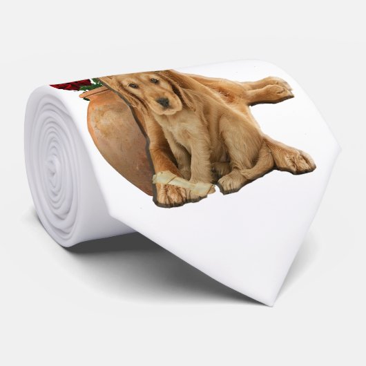 Labrador Retrieever Krawatte (Gerollt)