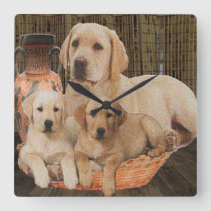 Labrador Retrieever Quadratische Wanduhr