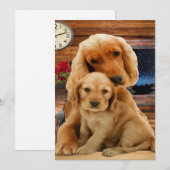 Labrador Retriever (Vorne/Hinten)
