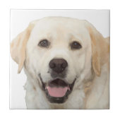 Labrador retriever 1 fliese (Vorderseite)