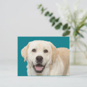 Labrador retriever 1 postkarte (Stehend Vorderseite)