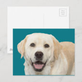 Labrador retriever 1 postkarte (Vorne/Hinten)