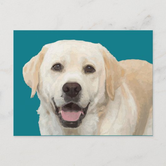 Labrador retriever 1 postkarte (Vorderseite)